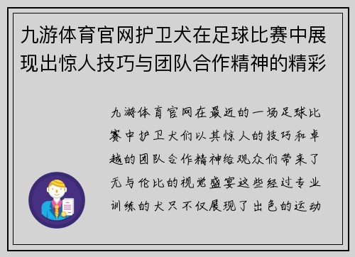 九游体育官网护卫犬在足球比赛中展现出惊人技巧与团队合作精神的精彩瞬间